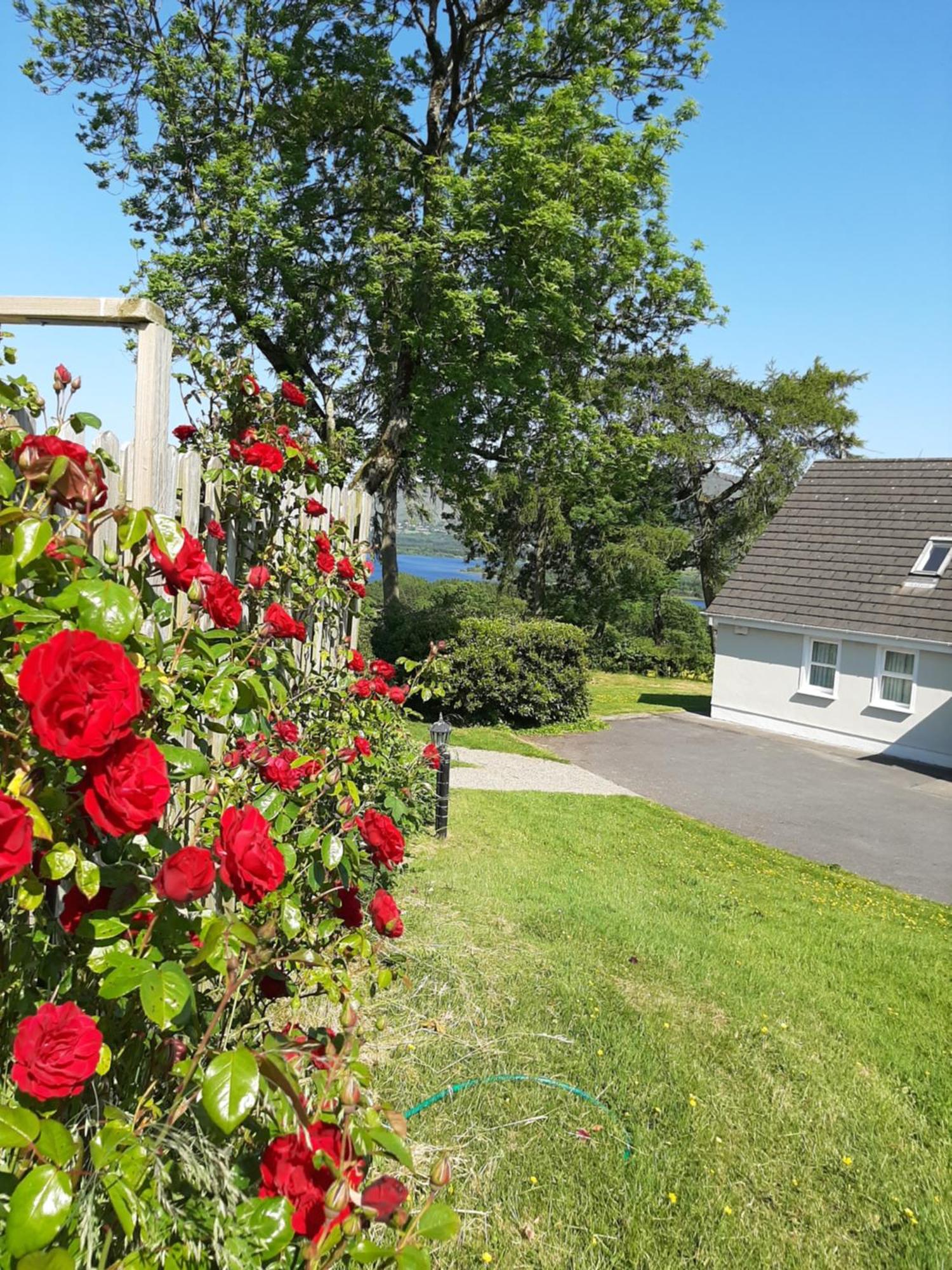 Abhainn Ri Cottages Blessington Exterior foto