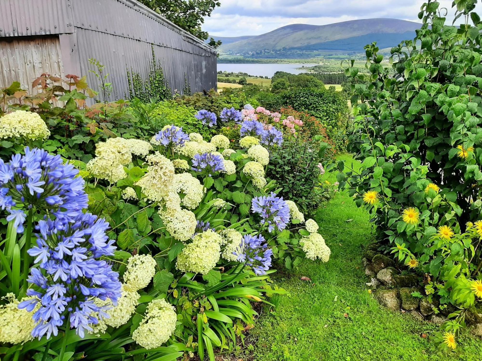 Abhainn Ri Cottages Blessington Exterior foto